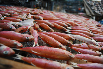 Dried Fish
