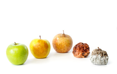 Five apples in different stages of decay