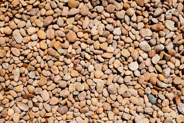 Sea stones and background stones.