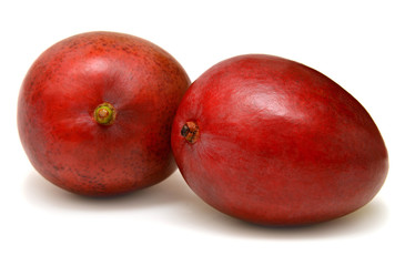 Mango fruit