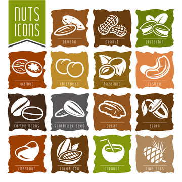 Fototapeta Nuts icon set - 2