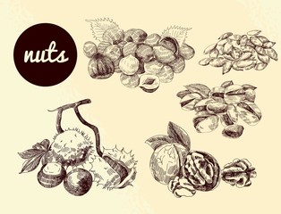 collection of nuts