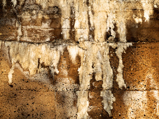 Schimmel an der Wand