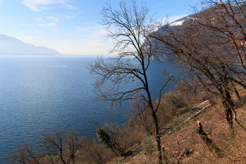 Fototapeta na wymiar lago d'Iseo da Monte Isola