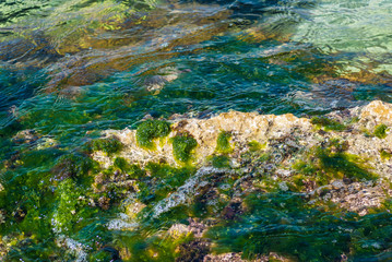 Stony beach with sea grass and flowing water.
