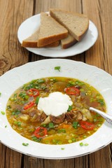 Wild mushroom and vegetable soup with sour cream and rye bread