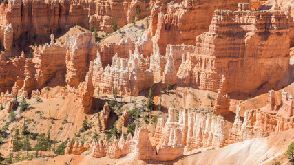 DEtail of hoodoos in Bryce Canyon national park