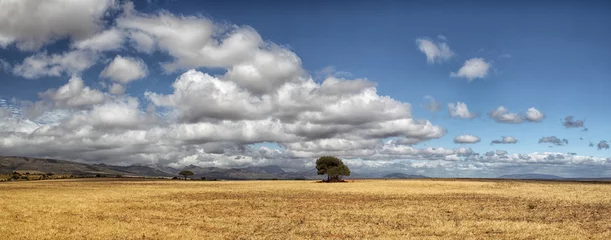 Fototapeten Landschaft in Südafrika © DirkR