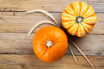 Autumn pumpkins on wooden board