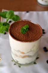 Sweet Deliciouse Italian Tiramisu Dessert