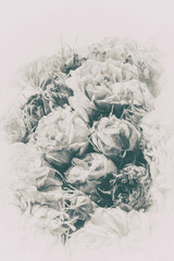 Vintage roses