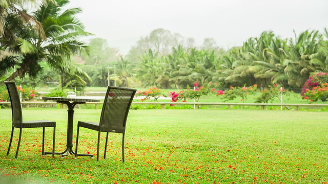 Tropical park with garden chairs