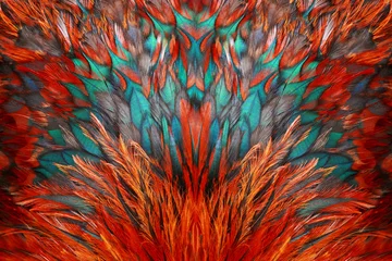 Photo sur Plexiglas Pour elle Groupe de plumes brun vif d& 39 un oiseau