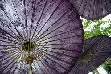 ASIA THAILAND MAE HONG SON PAI