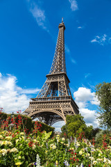 Fototapeta na wymiar The Eiffel Tower in Paris