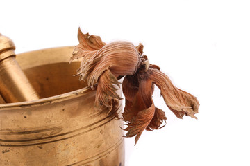 The Hazelnut and in the leaf old metal nutcracker on white backg