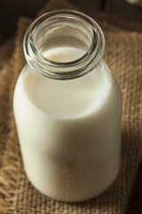 Refreshing Organic White Whole Milk