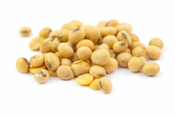 soybean isolated on white background