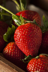 Raw Organic Long Stem Strawberries