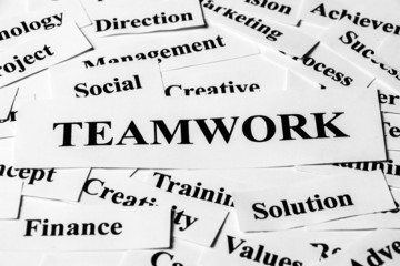 Teamwork And Other Related Words