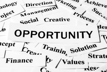 Business Opportunity