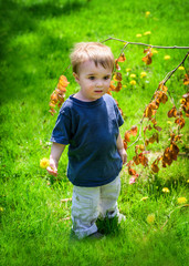 Young Boy at the Park Holding a Dandelion Flower