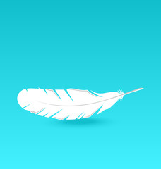 White feather falling
