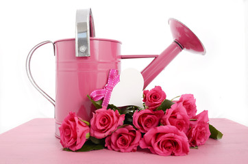 Beautiful pink Spring time watering can and pink roses 