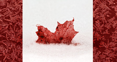Frozen Canada Leaf Flag Concept