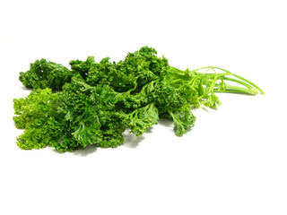 bunch of fresh green curly parsley isolated on white background