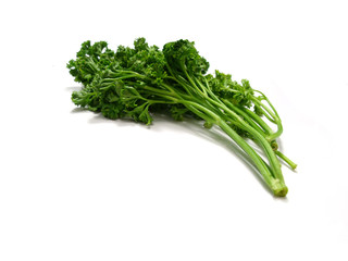 bunch of fresh green curly parsley isolated on white background