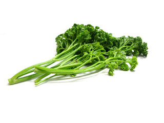 bunch of fresh green curly parsley isolated on white background