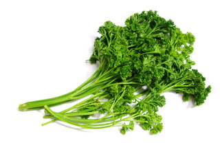 bunch of fresh green curly parsley isolated on white background