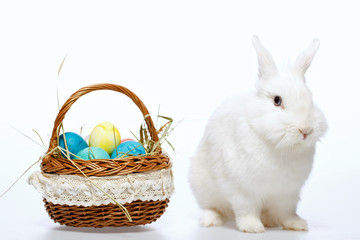 Little Easter bunny in the basket