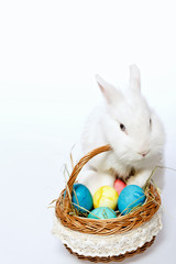 Little Easter bunny in the basket
