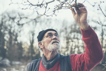 Old Man Holding Twigs from a Leafless Tree