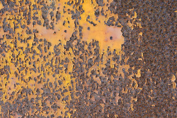 Rust and vintage iron plate