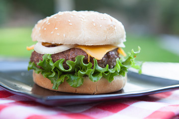 Hamburger