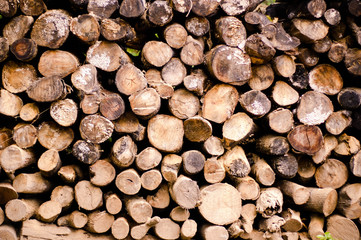 wood stack
