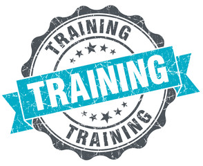 training vintage turquoise seal isolated on white