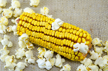 Corn maize and popcorns