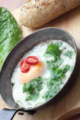 Fried egg with coriander chili and whole grain bun.