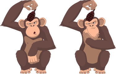 Monkey with a grenade