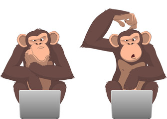 Obraz premium Małpa i komputer
