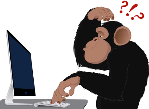 Monkey and computer