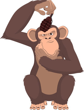 Monkey with a grenade
