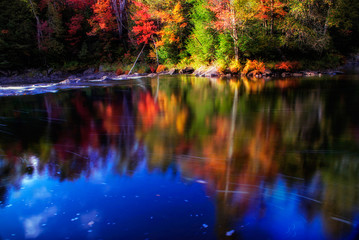 Diffused & Veiled Autumn Stream