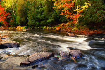 Autumn River Background - 78151990