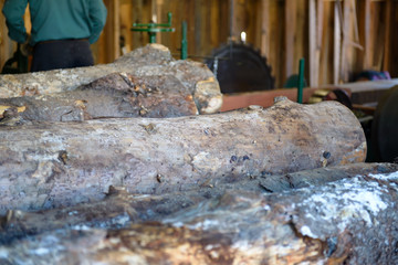 Logs in a Lumber Mill