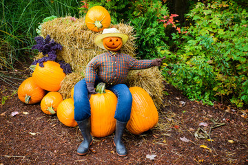 Pointing Scarecrow Sitting on a Pumpkin - 78152712